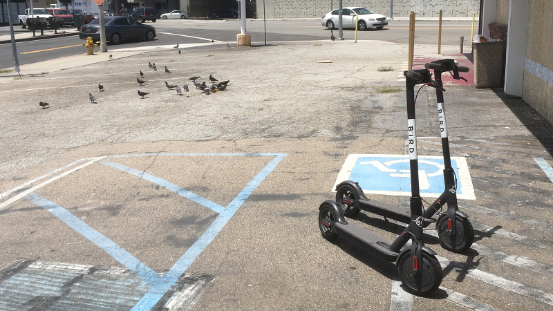 Don’t worry, this whole parking lot is closed so the Birds are not blocking handicapped parking.